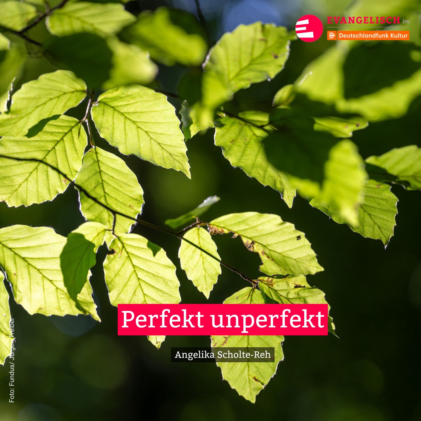 Perfekt unperfekt