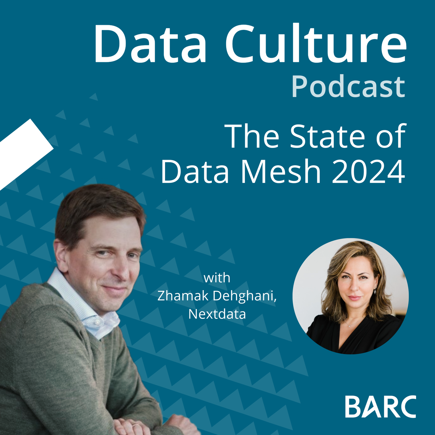 The State of Data Mesh 2024 – with Zhamak Dehghani, Nextdata