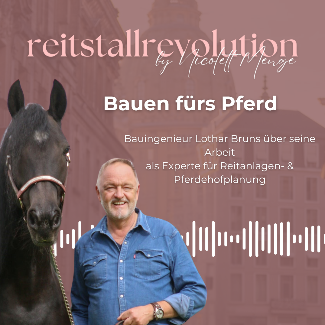 Folge 52 - Bauen fürs Pferd