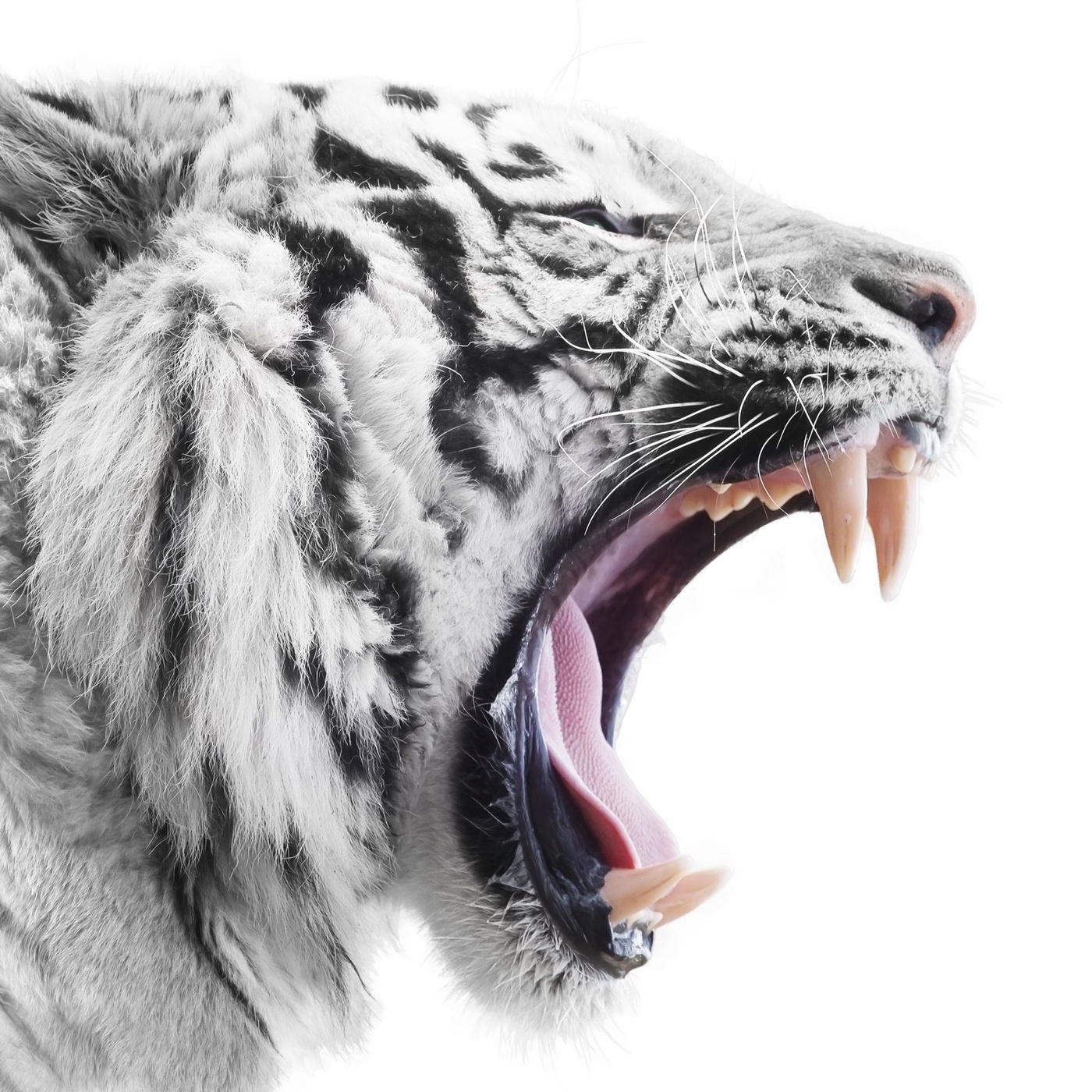 Wie wütend bist du?