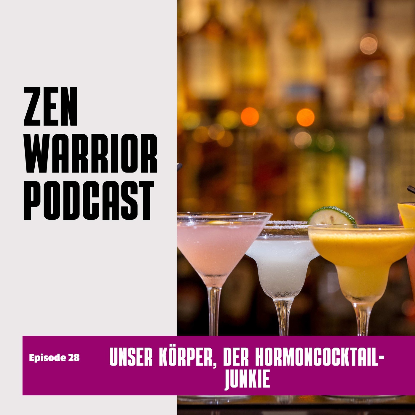 Hormoncocktail-Junkie: Zen Warrior Podcast Episode #28