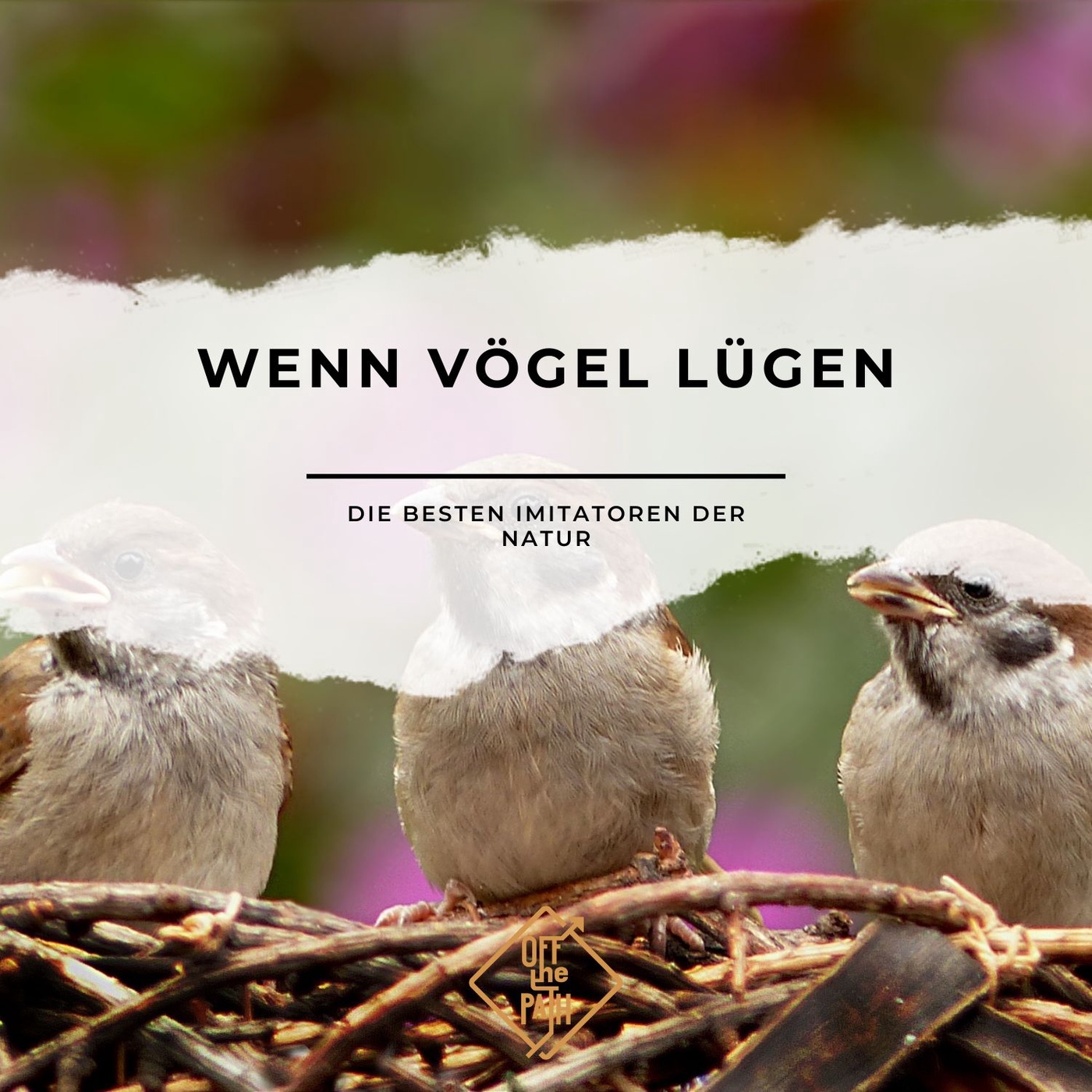Wenn Vögel lügen – Die besten Imitatoren der Natur