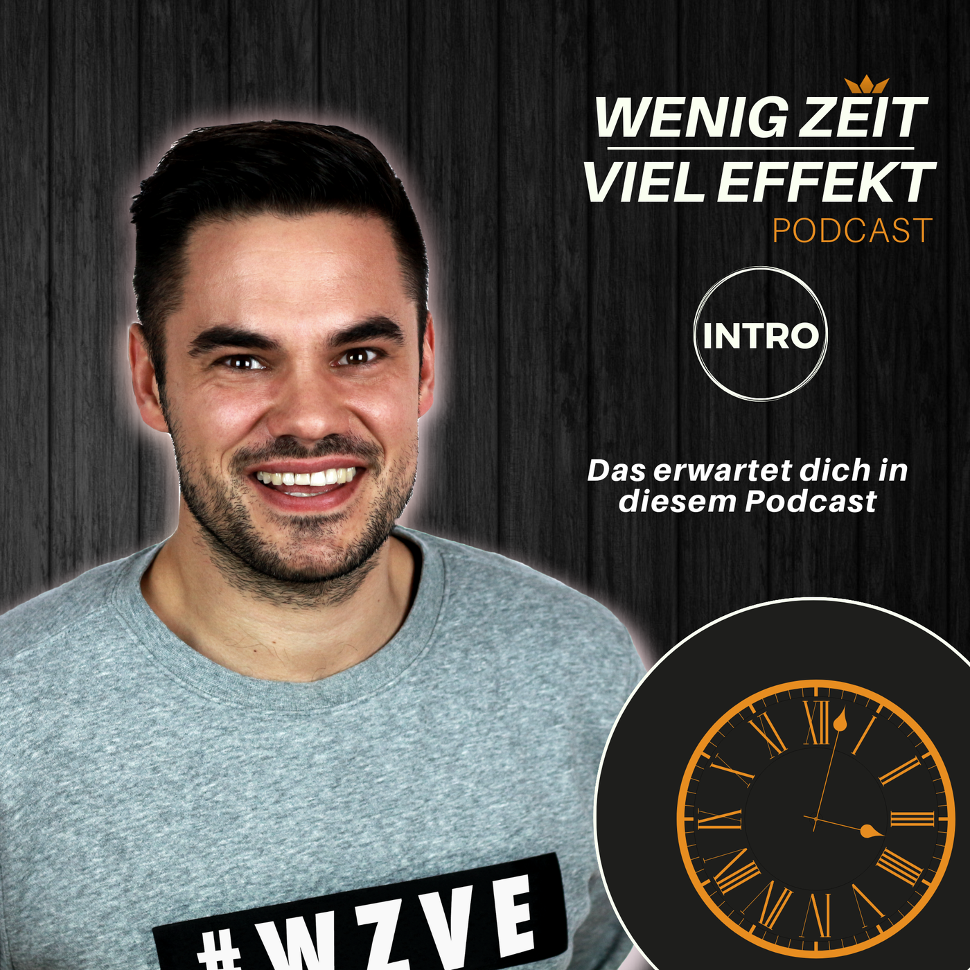 Intro - Das erwartet dich in diesem Podcast | WZVE #00