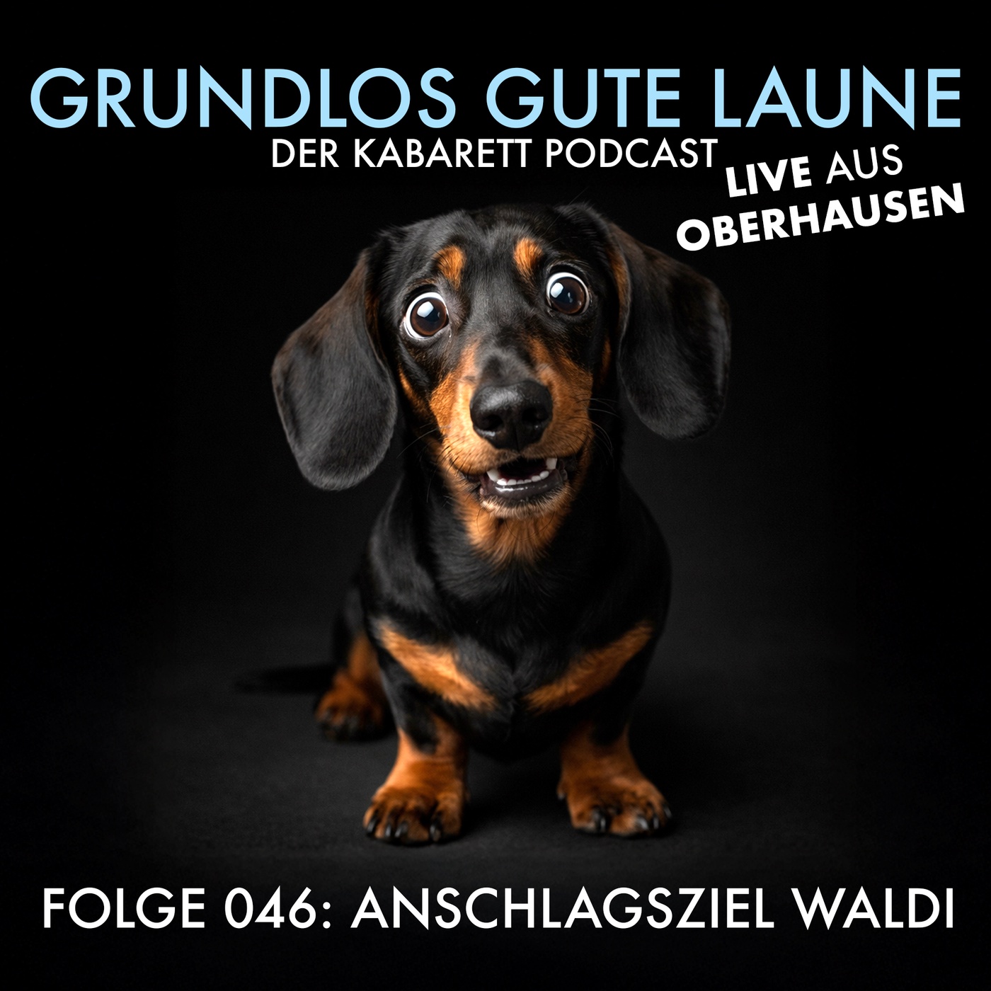 Anschlagsziel Waldi (LIVE AUS OBERHAUSEN)