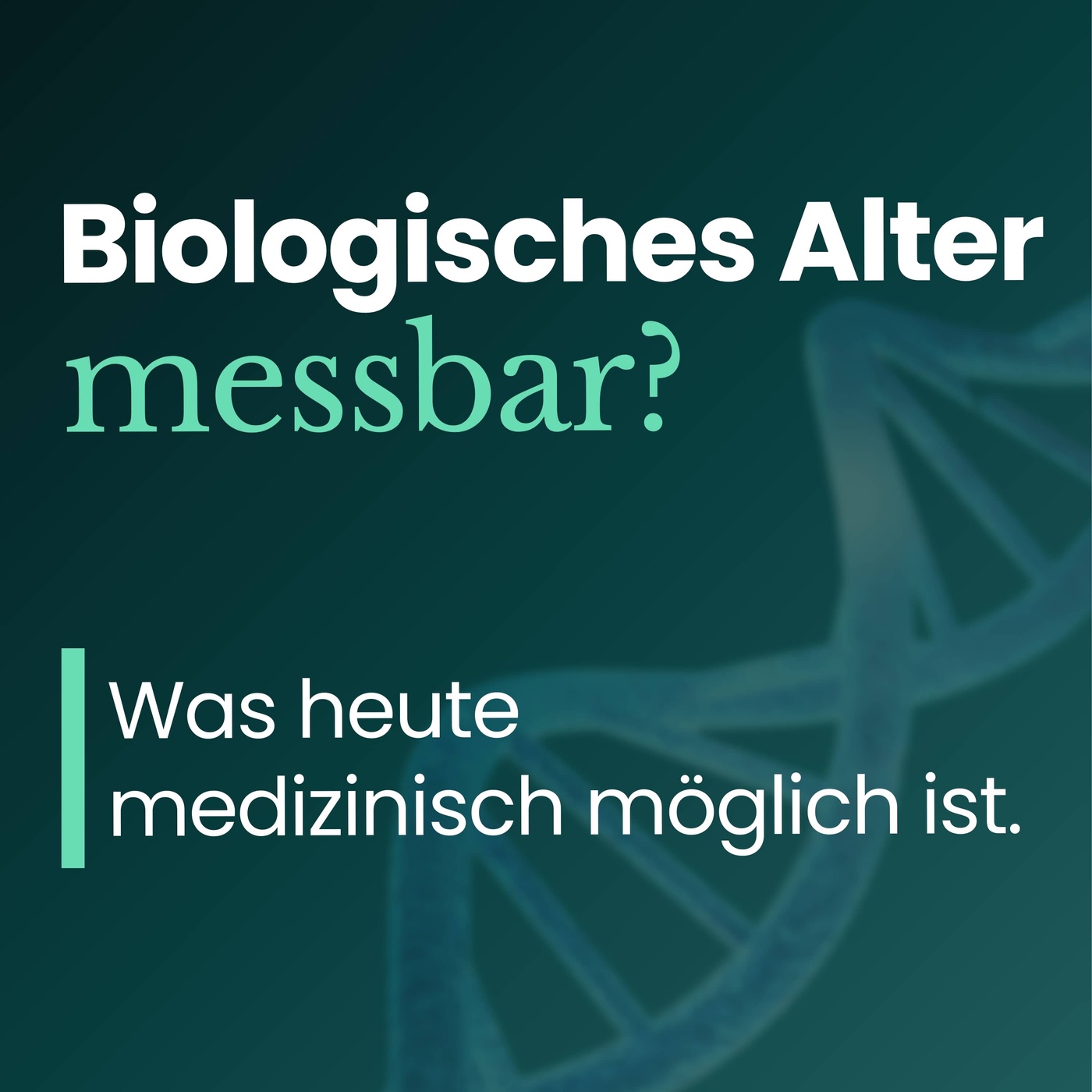 Longevity praktisch umsetzen: Biologisches Alter, Ernährung, Bewegung, Alltag | Teil 2