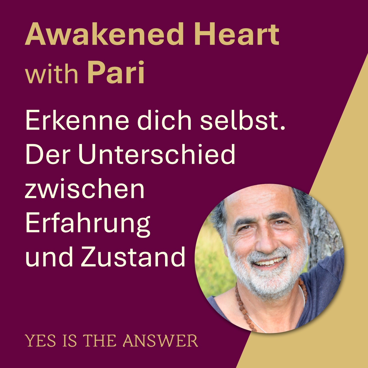 Erkenne dich selbst. Der Unterschied zwischen Erfahrungen und Zustand