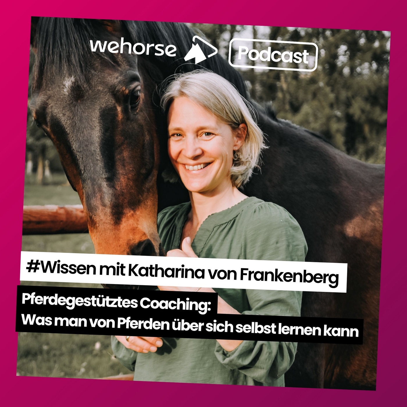 #Wissen mit Katharina von Frankenberg | Pferdegestütztes Coaching: Was man von Pferden über sich selbst lernen kann