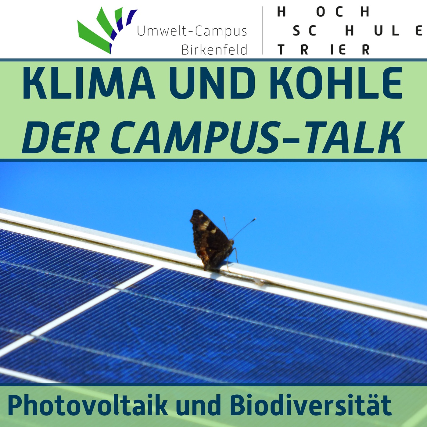 #95 Photovoltaik und Biodiversität