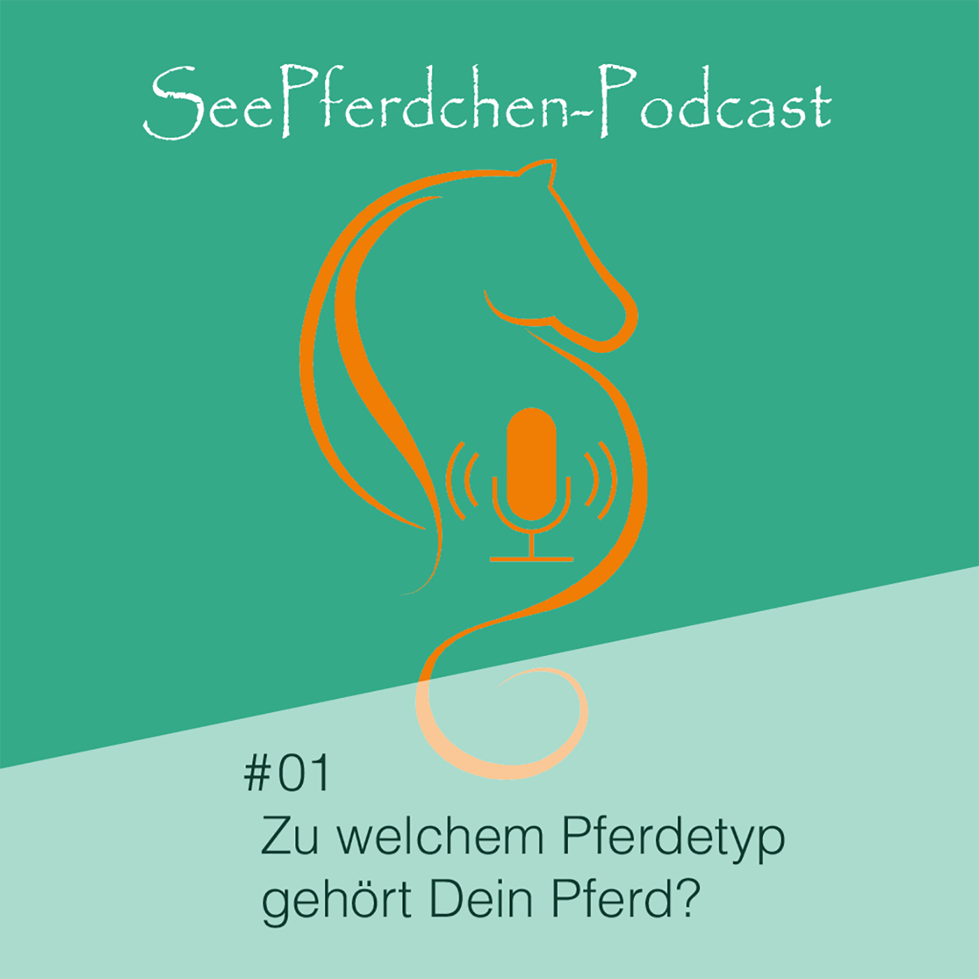 #01 | Zu welchem Pferdetyp gehört dein Pferd?