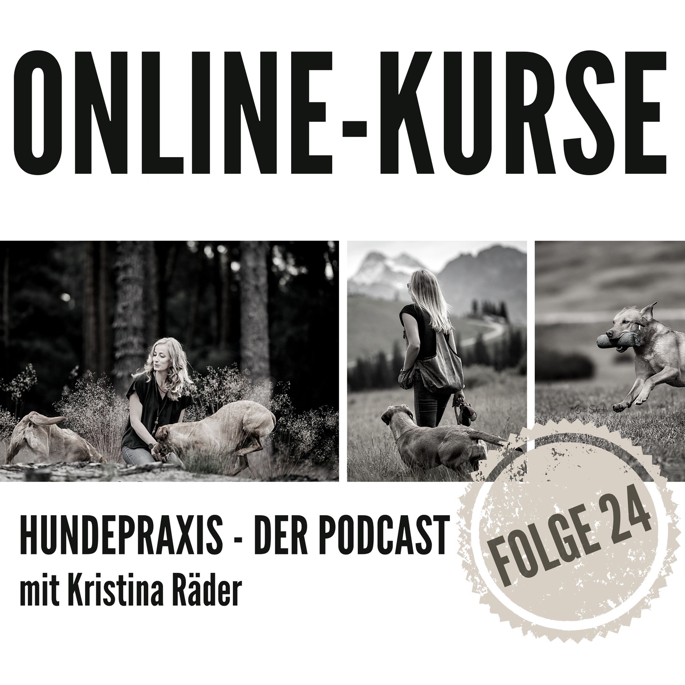 Nicht schon wieder so ein Onlinekurs.....