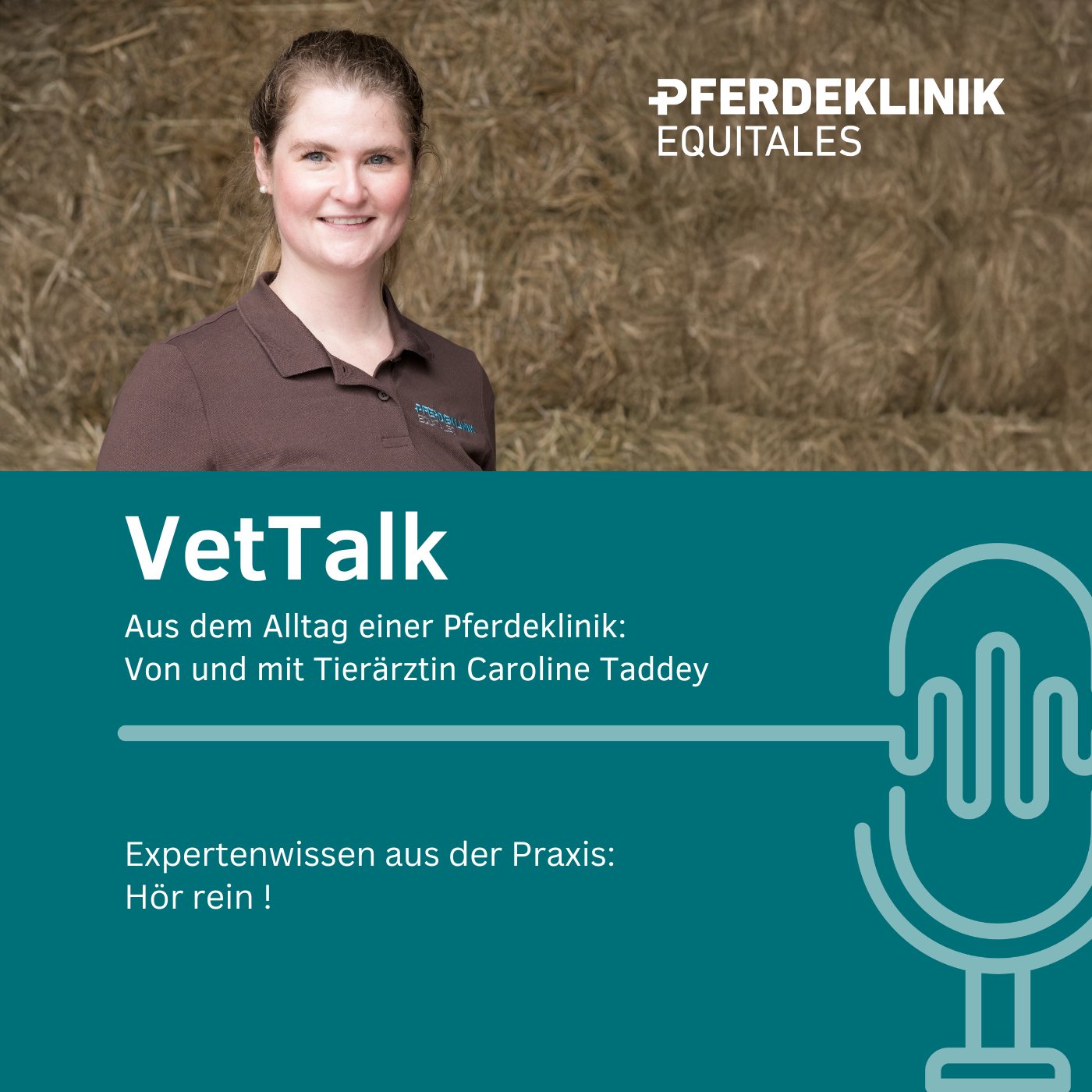 VetTalk - Zähne beim Pferd