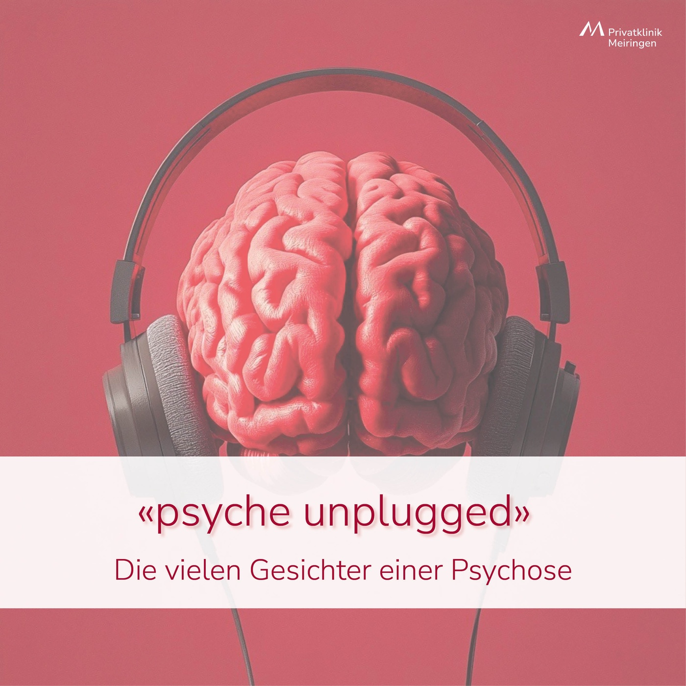 «psyche unplugged»: Die vielen Gesichter einer Psychose