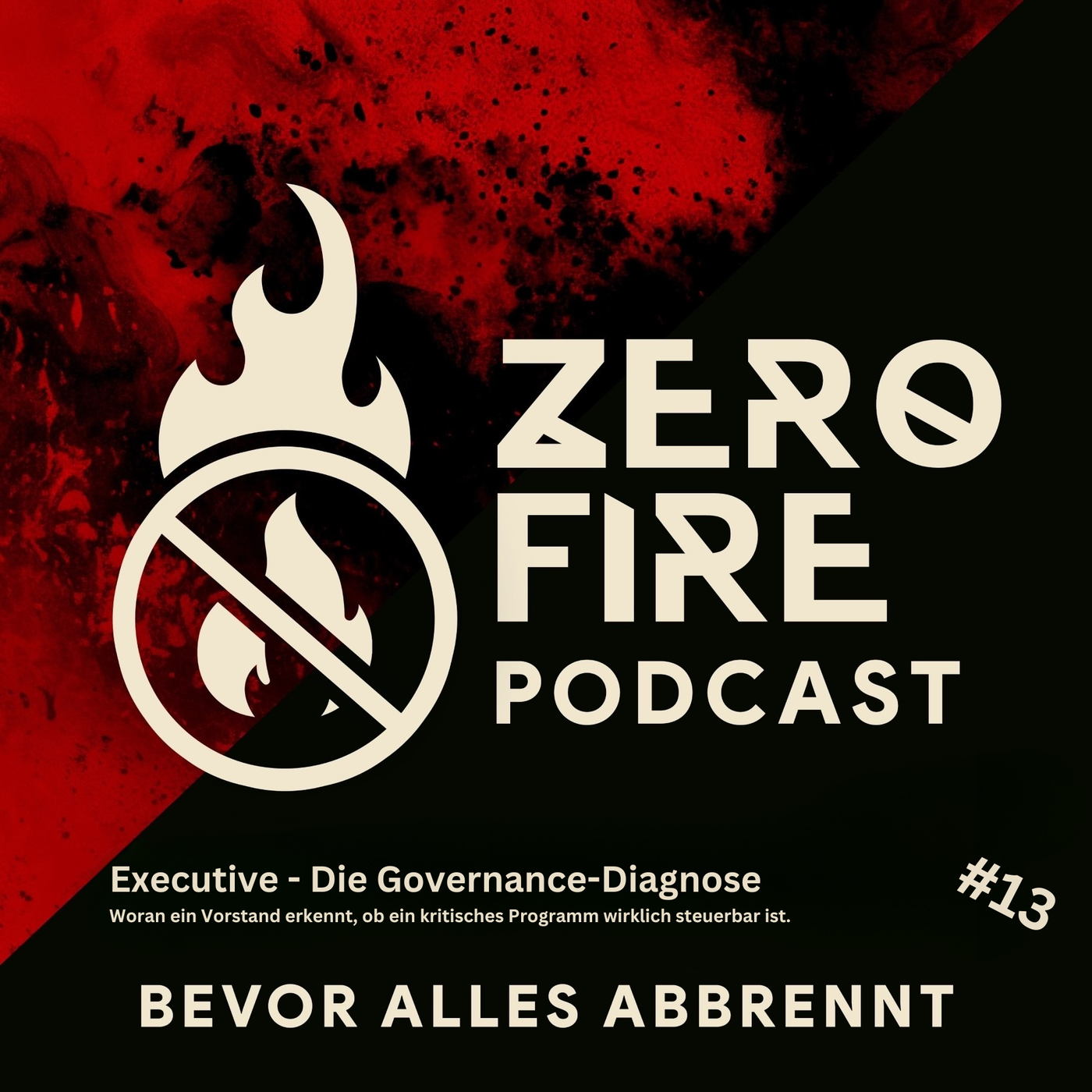 Folge 13 - Executive - Die Governance Diagnose