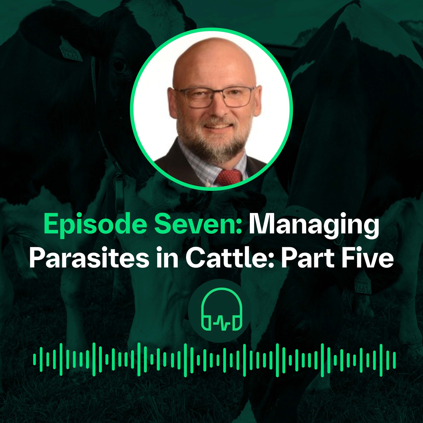 Managing Parasites in Cattle - P5 || Prise en charge des parasites chez les bovins - P5