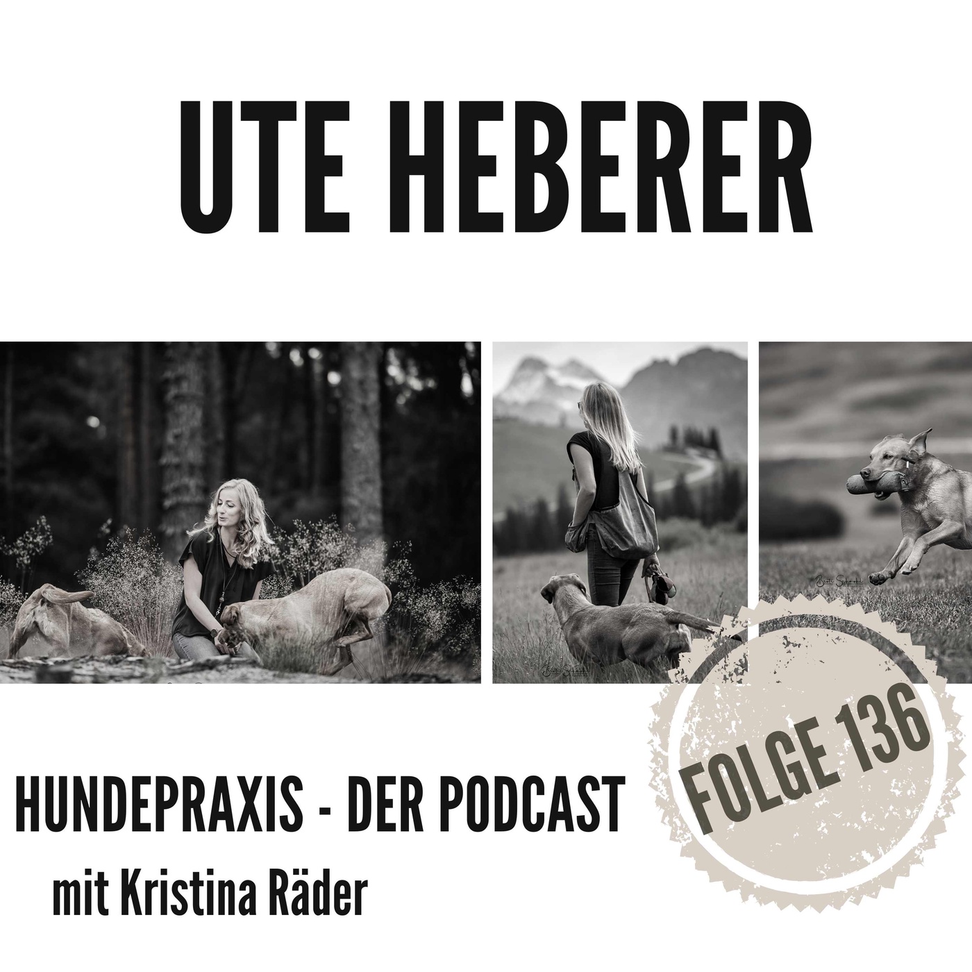 Tierschutz- oder Zuchthund?