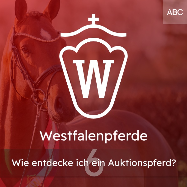 Wie entdecke ich ein Auktionspferd?