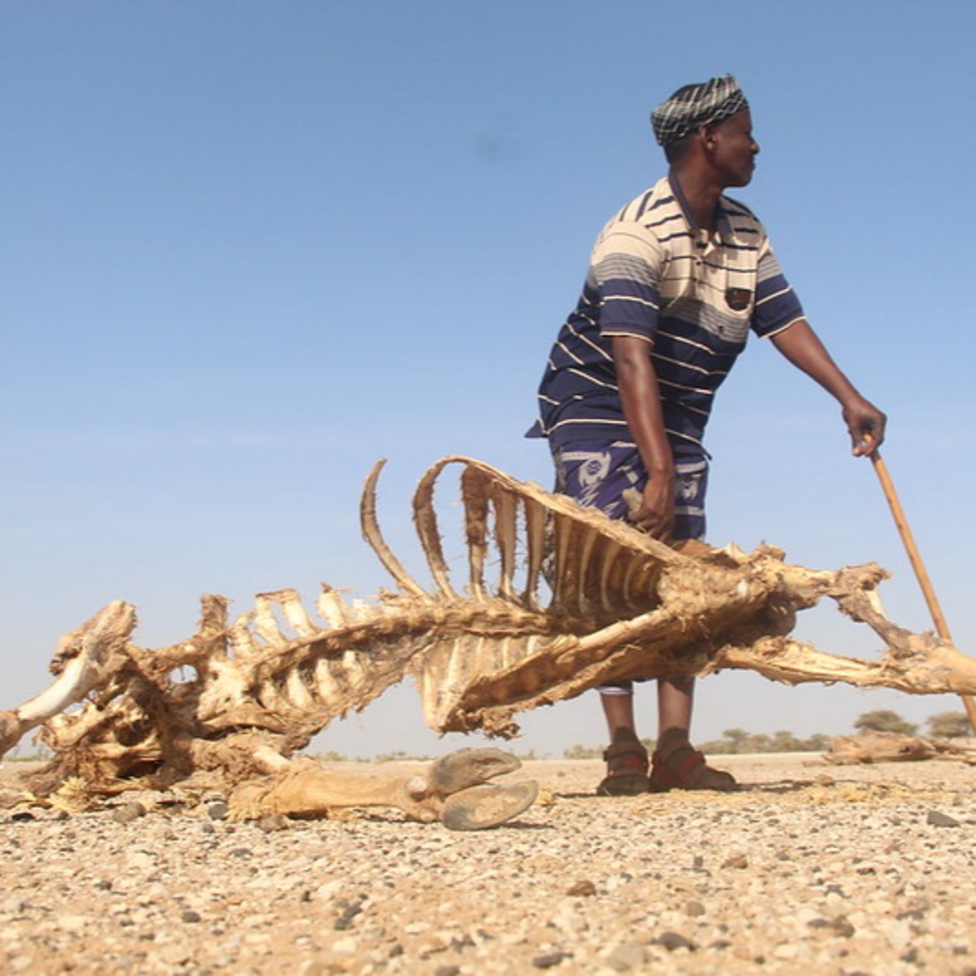 Adano Wario berichtet von der Dürre in Marsabit.