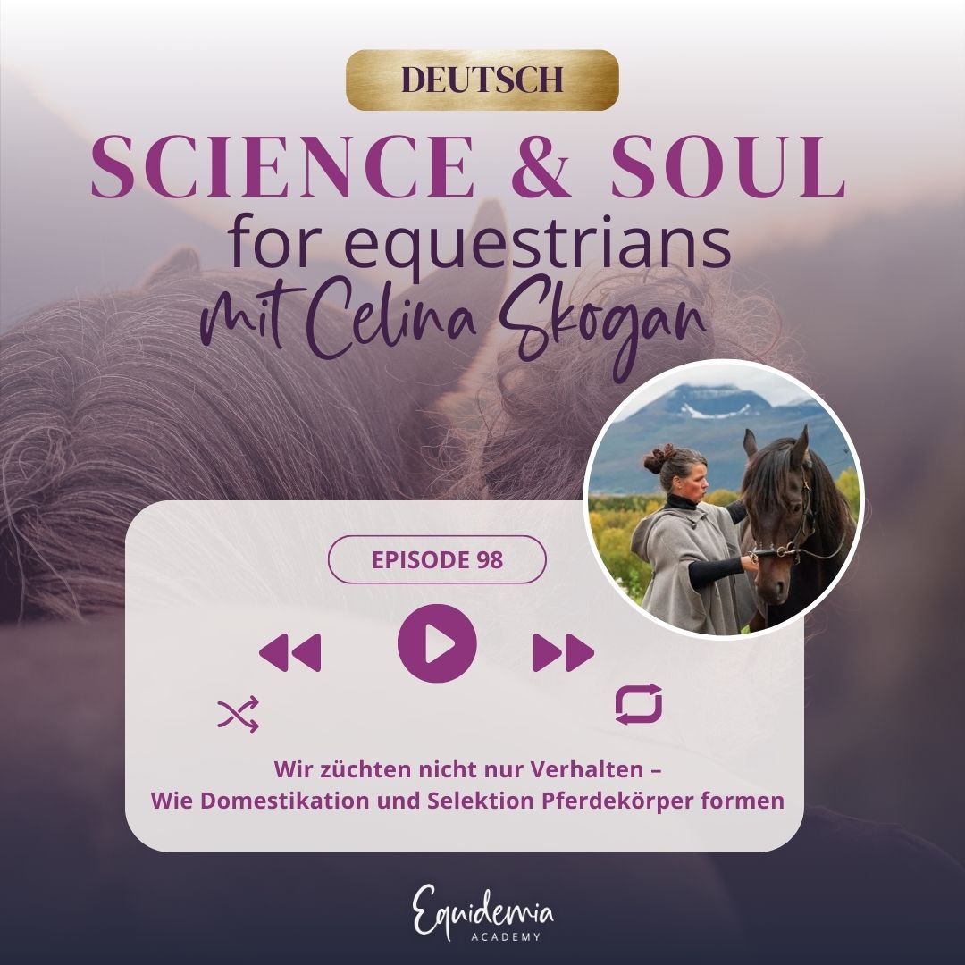 Wir züchten nicht nur Verhalten – Wie Domestikation und Selektion Pferdekörper formen