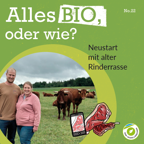 Neustart mit alter Rinderrasse