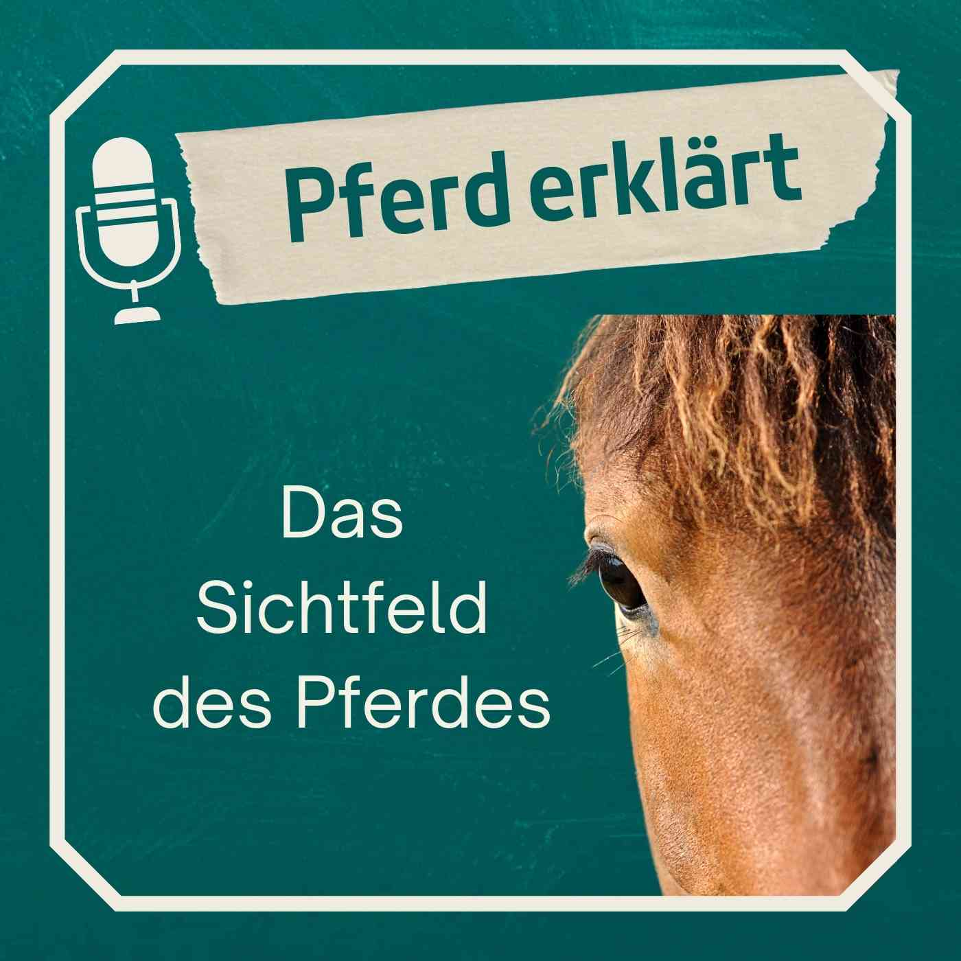 Das Sichtfeld des Pferdes