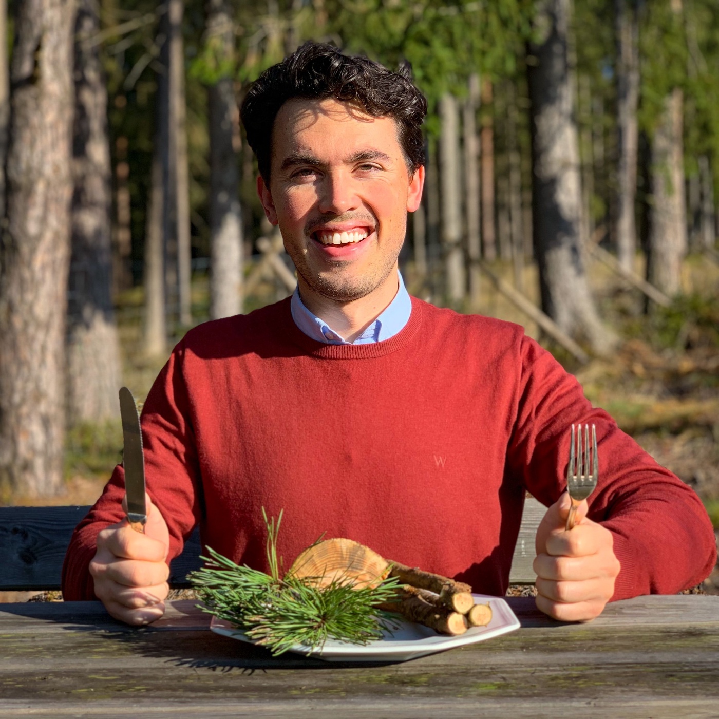 Über Bäume und wie man sie isst