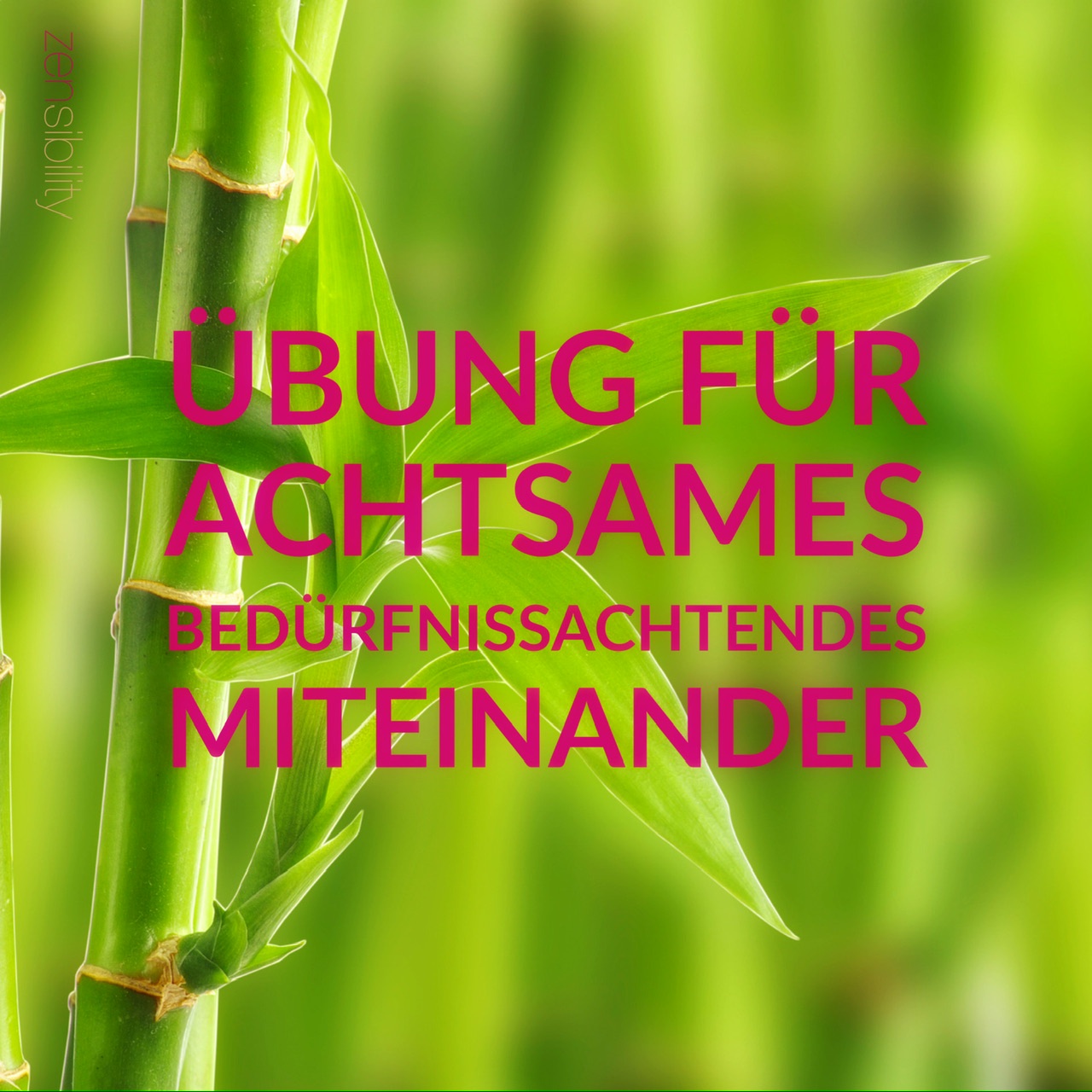 Übung für das achtsam, bedürfnissorientierte Miteinander