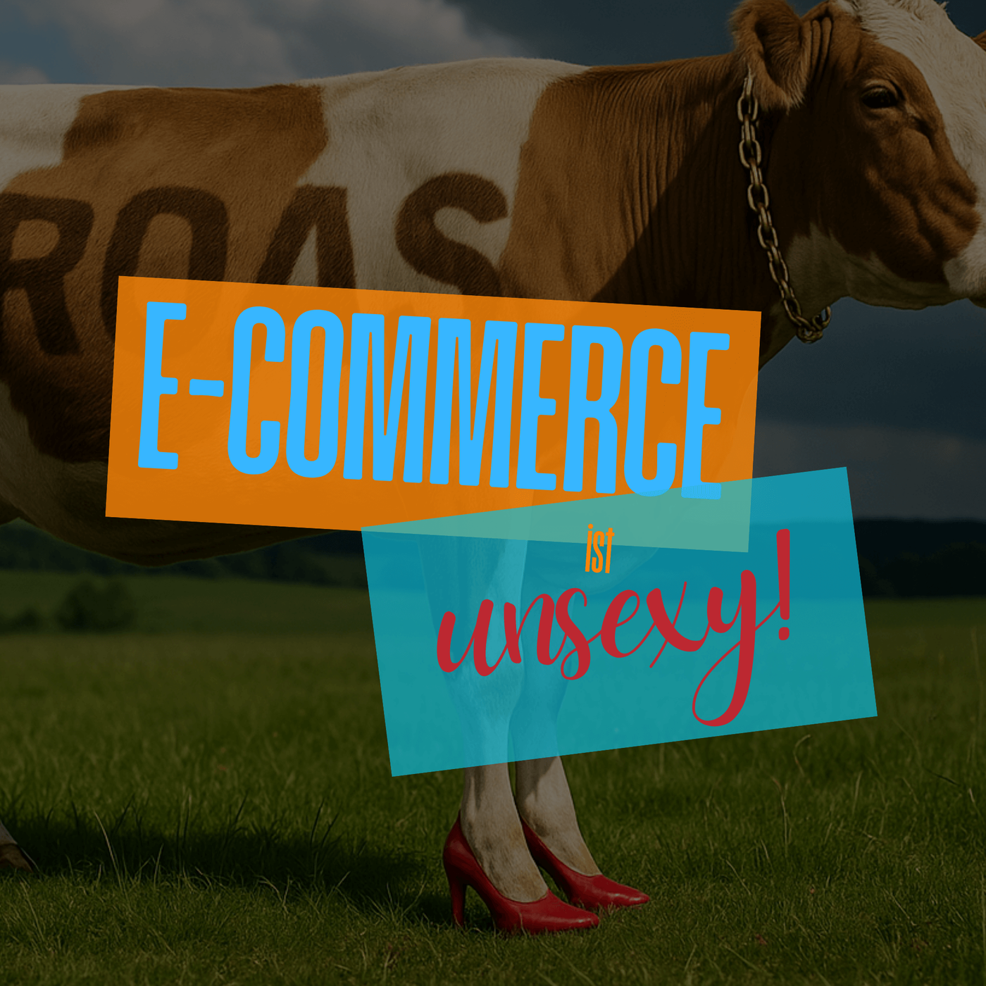 1 - Die heilige Kuh des Onlinemarketing: der ROAS