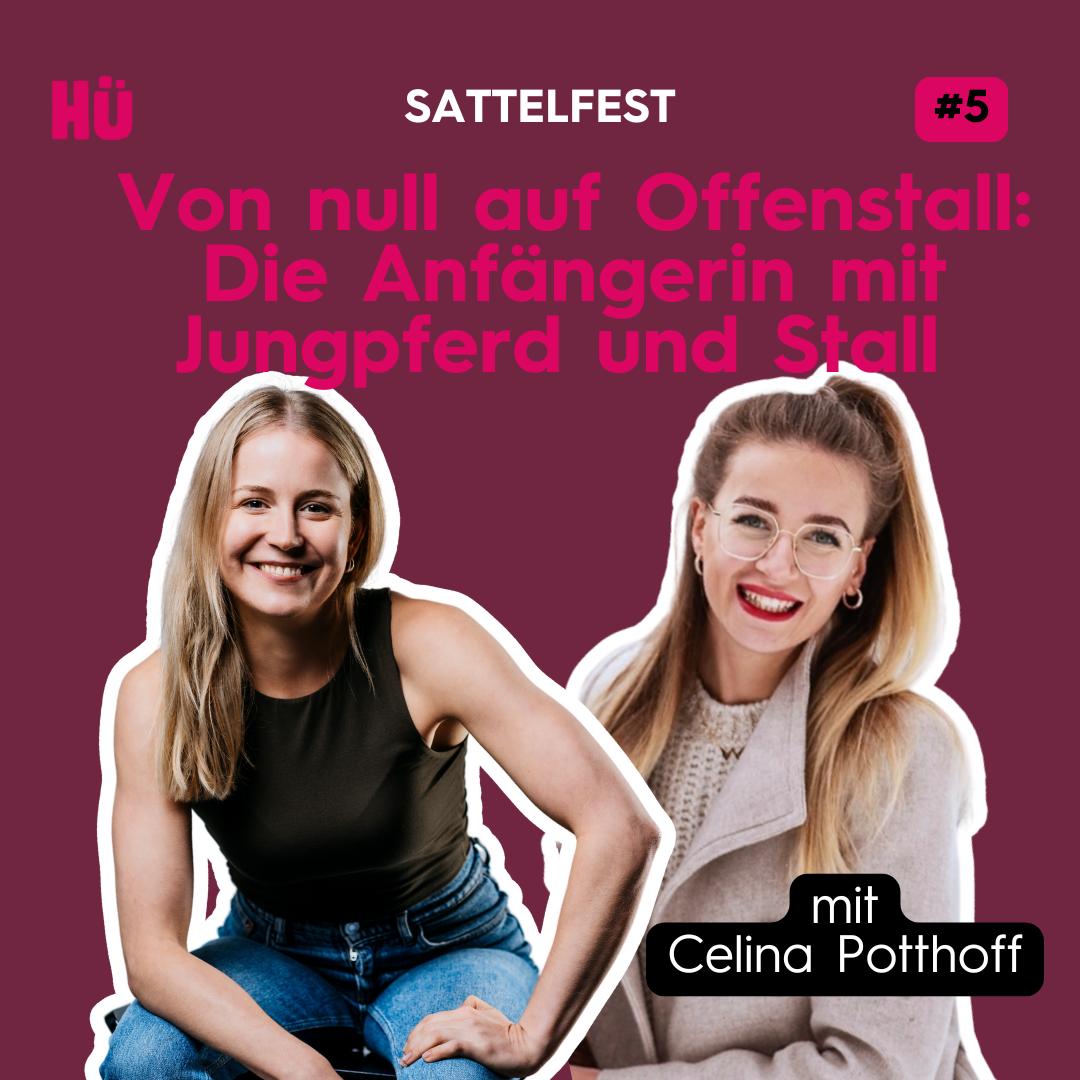 Von null auf Offenstall: Die Anfängerin mit Jungpferd und Stall