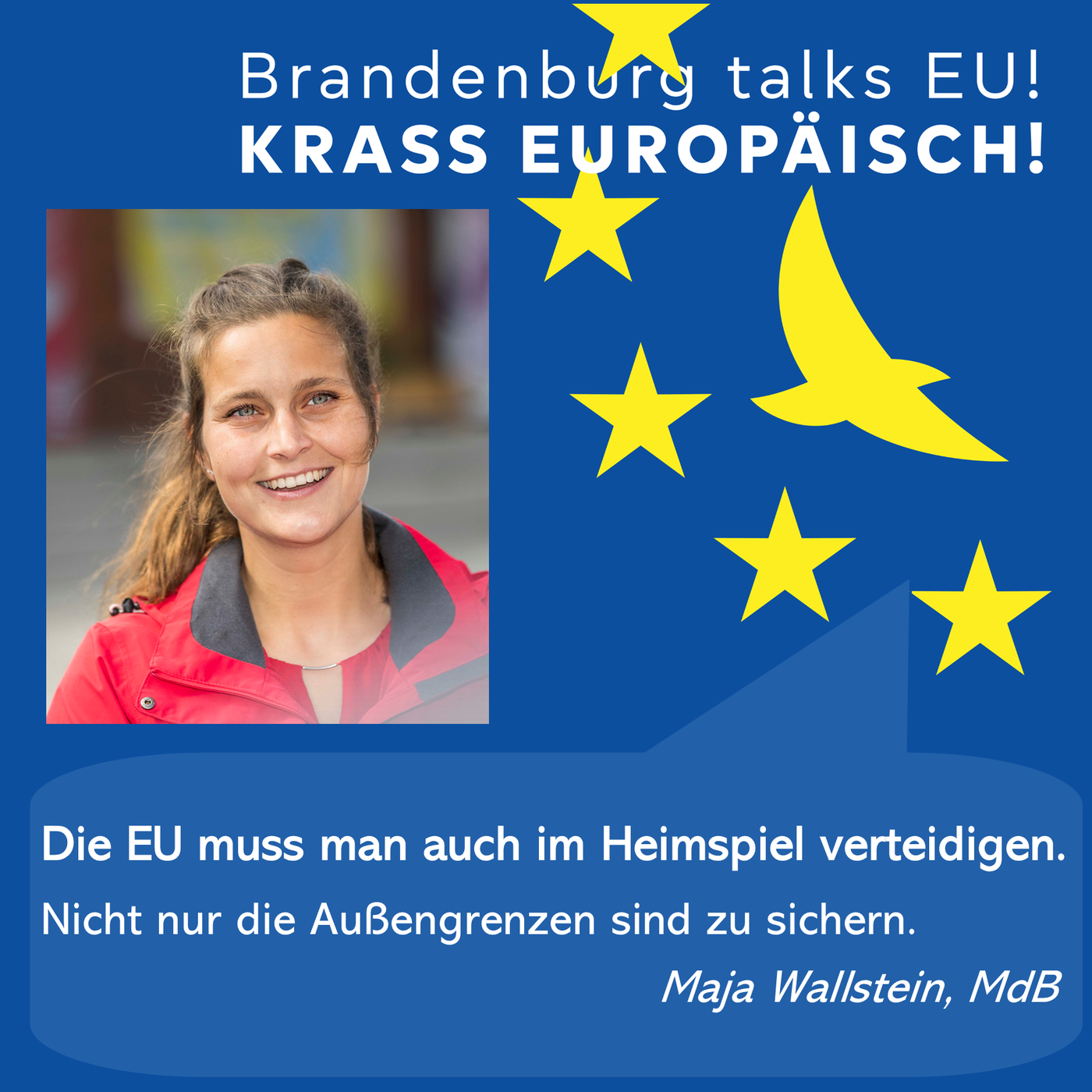 EU muss man auch im Heimspiel verteidigen