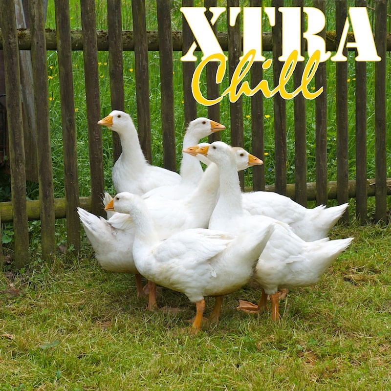 XtraChill 250