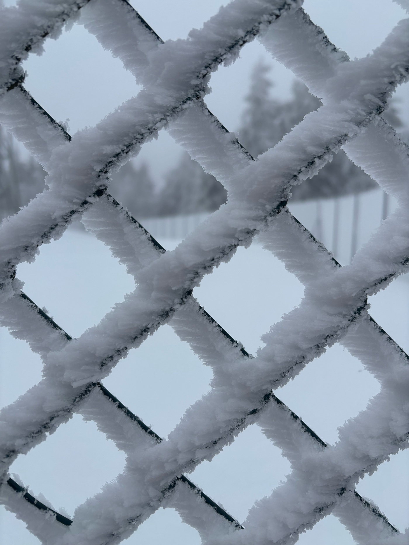 Der menschliche P**** ist ein Sonderling