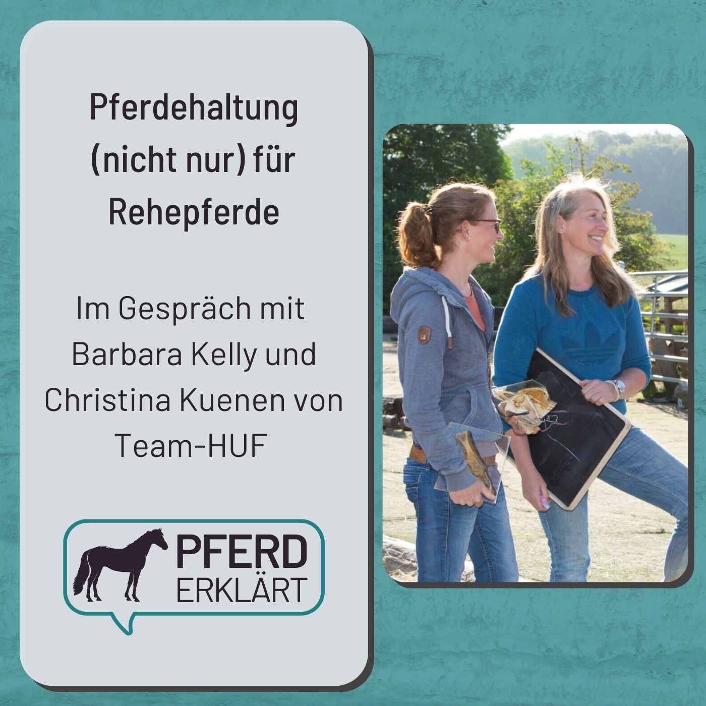 Böden, Untergründe und Pferdehaltung (nicht nur) von Rehe-Pferden: Im Gespräch mit Team-HUF