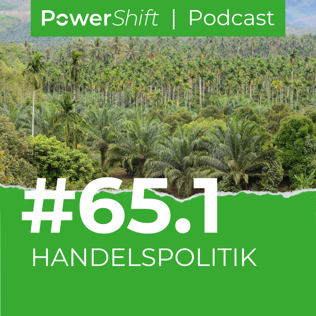 Kompass Weltwirtschaft To Go #65.1: Zwischen Nickelboom und Palmölfluch – Rohstoffe im EU-Indonesien-Handelsabkommen