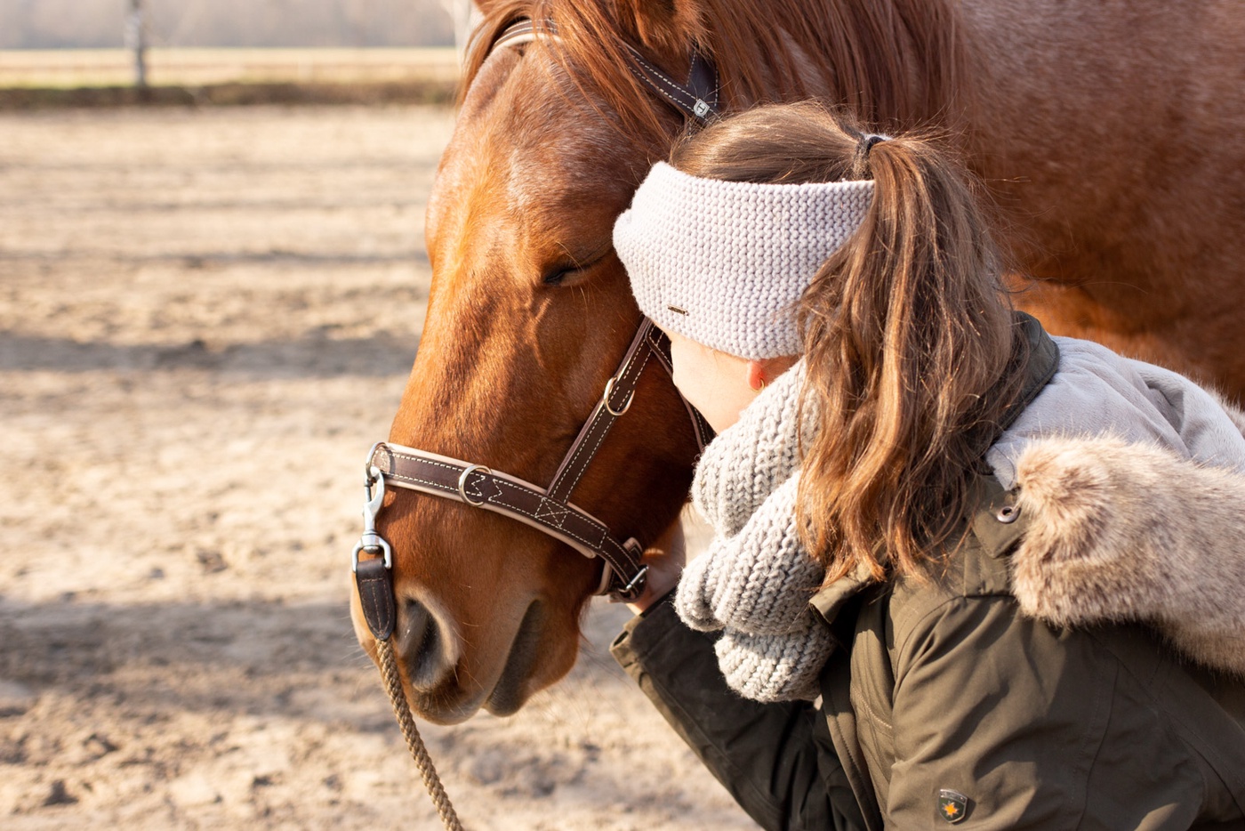 Der Gaul verarscht dich doch