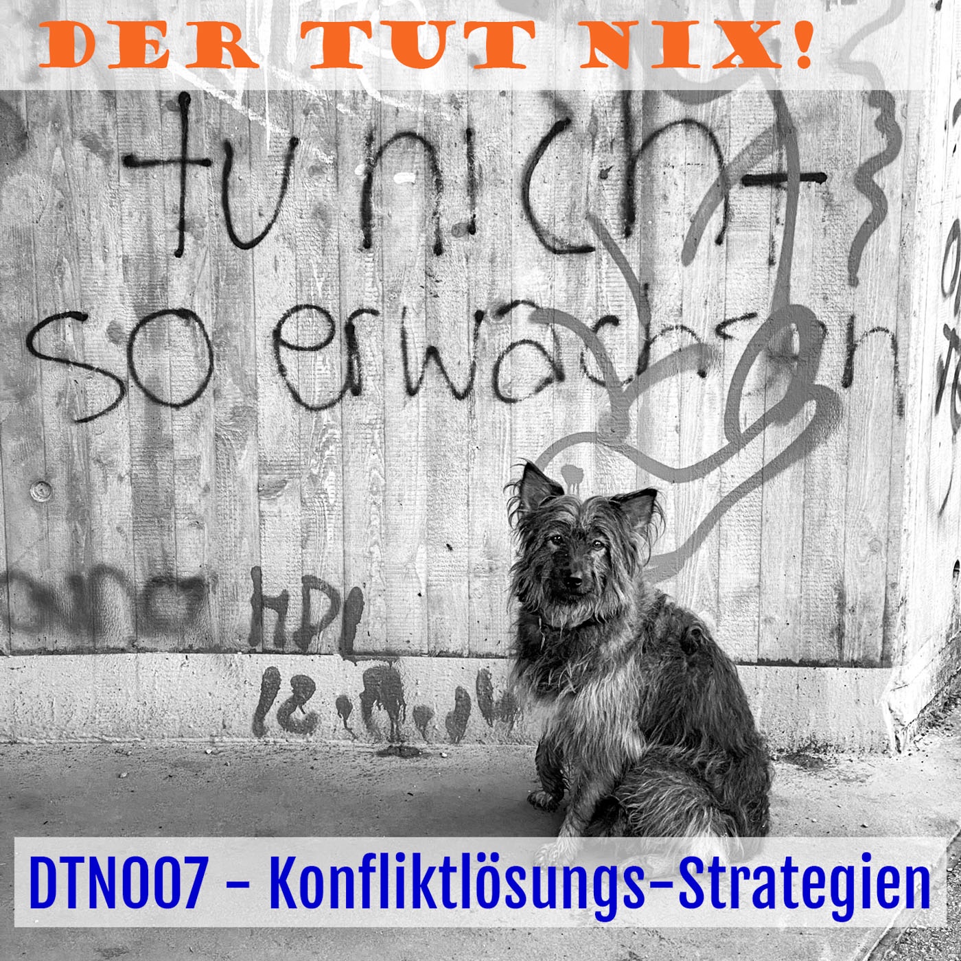 DTN007 - Konfliktlösungs-Strategien