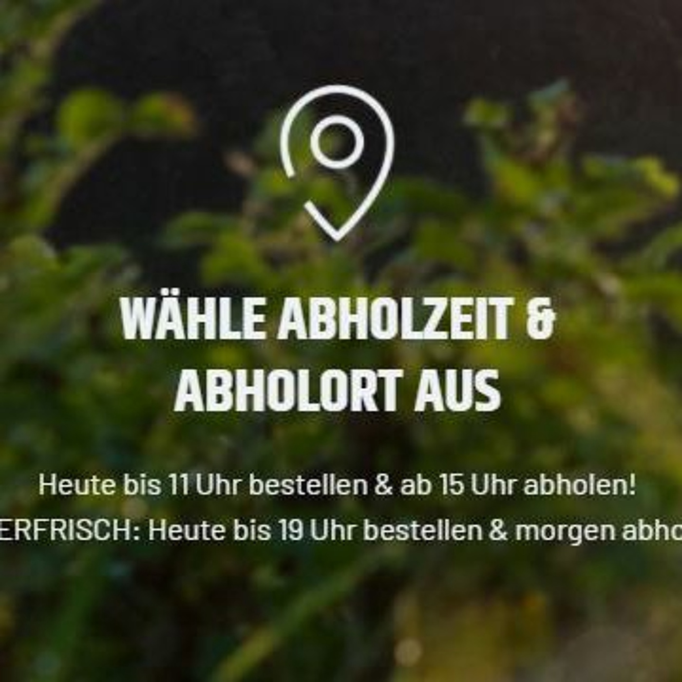 K#371 Flyby.shop - Lebensmittelabholung in Salzburg mit Alexander Planitzer