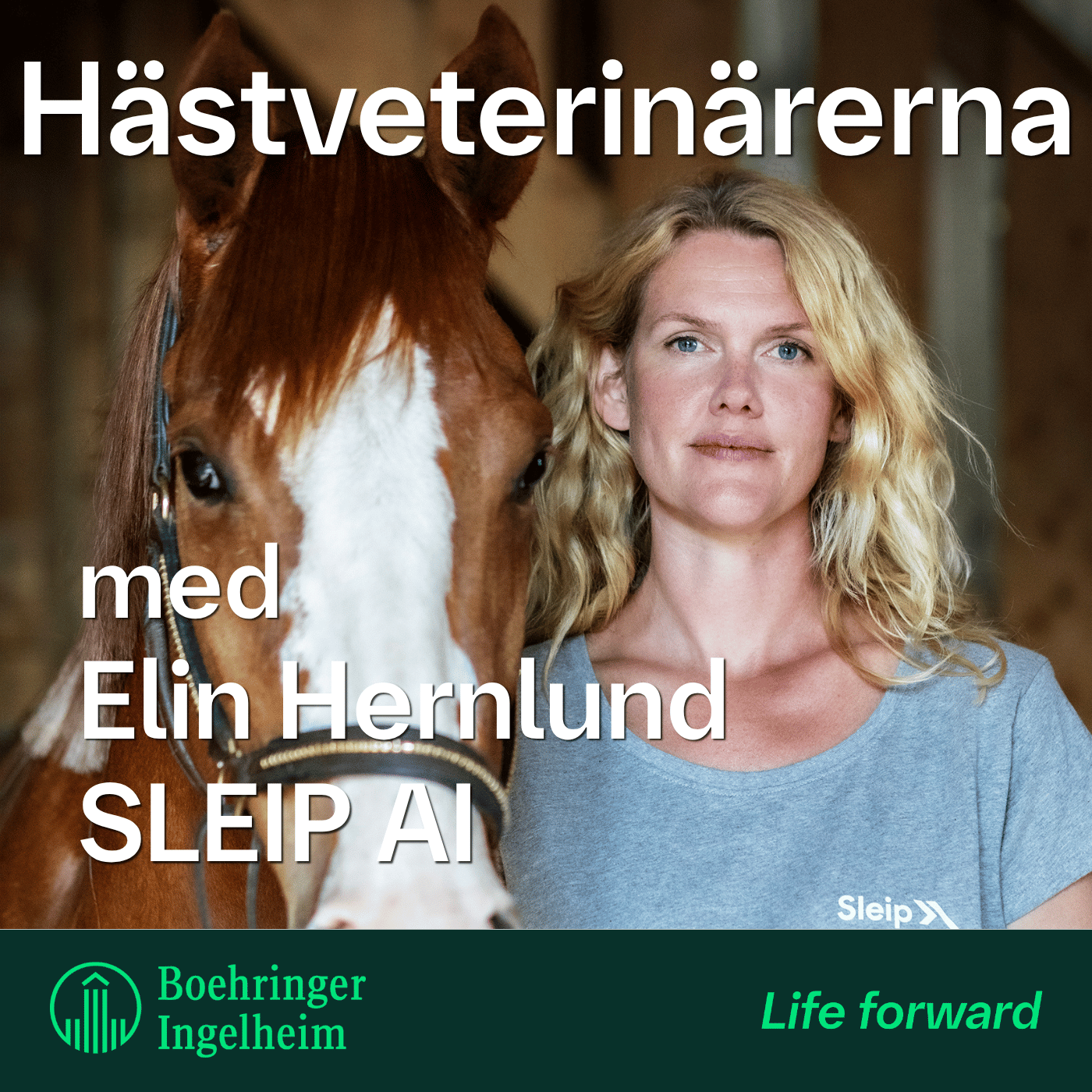 AI i (häst)praktiken: Så används SLEIP i hältutredning, med Elin Hernlund från SLEIP