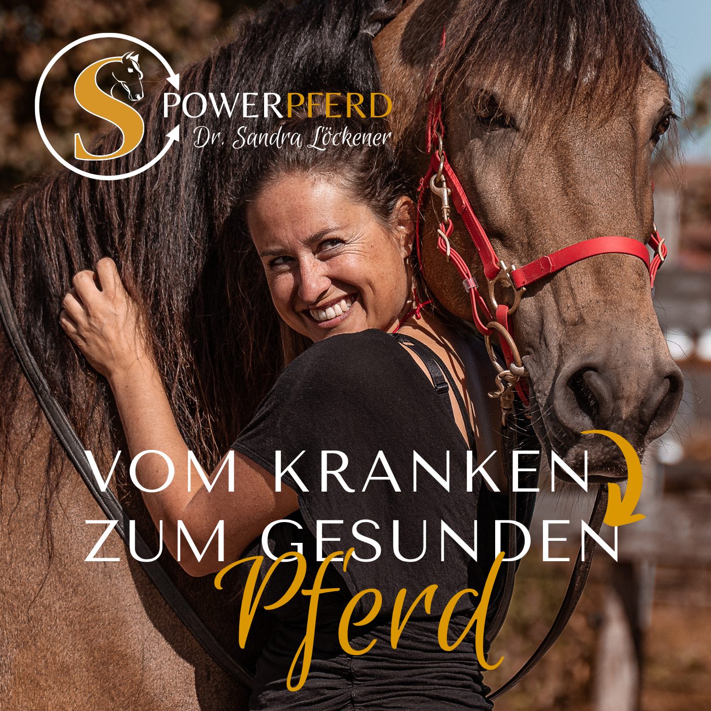 Episode 243 - Vom kranken zum gesunden Pferd