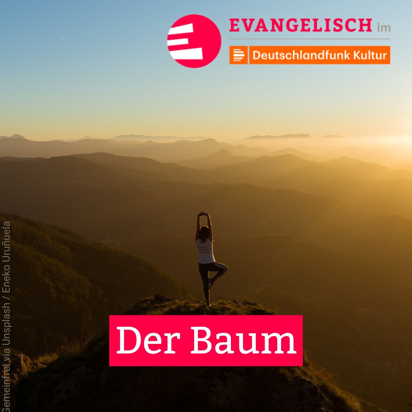 Der Baum