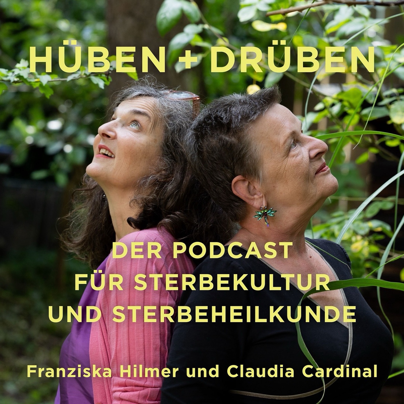 #35 Eine haarige Angelegenheit