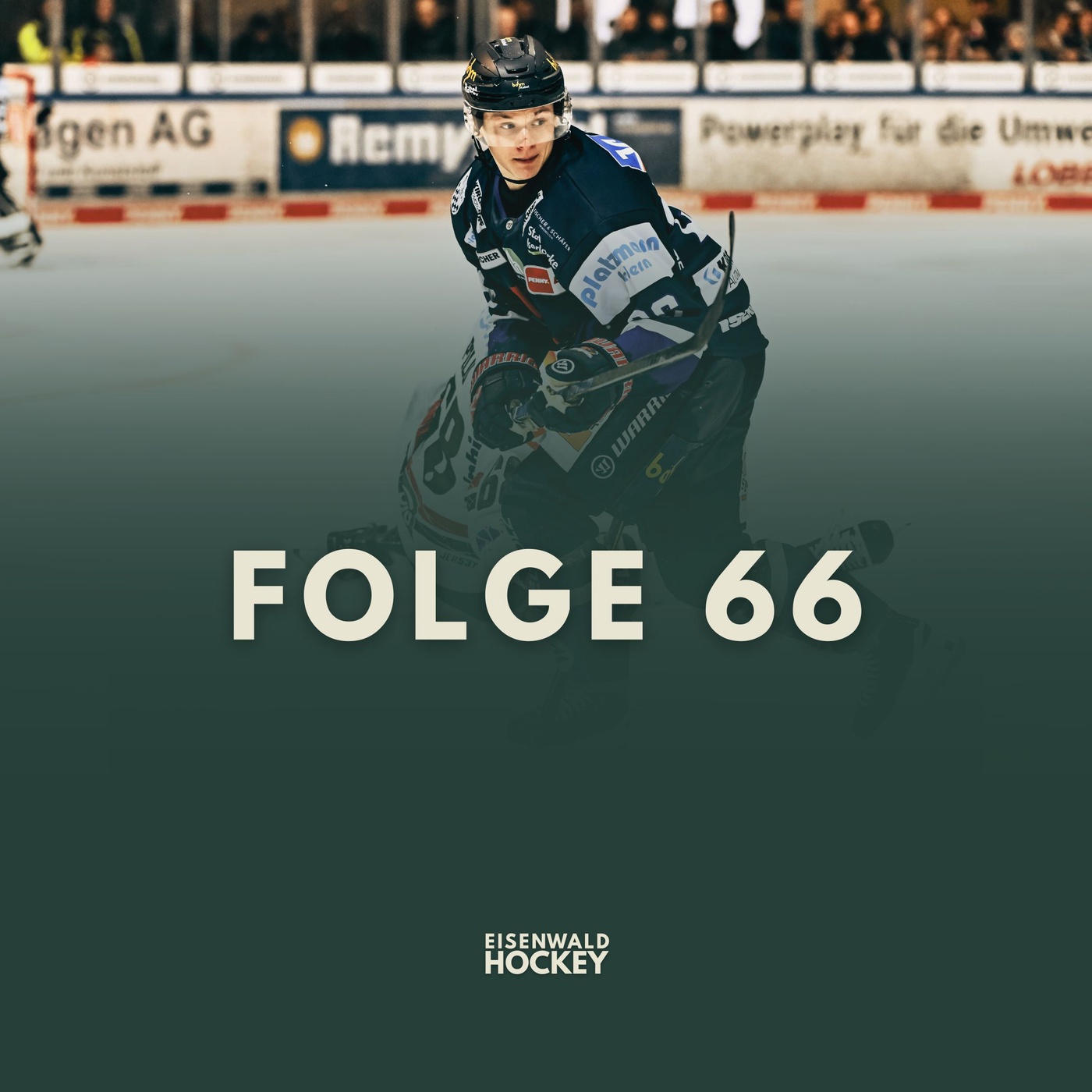 Zugänge, Gerüchte und Niehus-Interview 