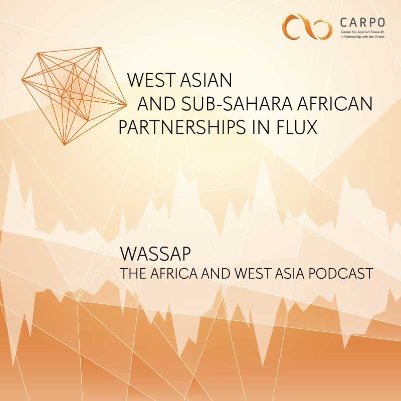 Two Shores, One Sea: The Horn of Africa and West Asia in a Contested Red Sea 