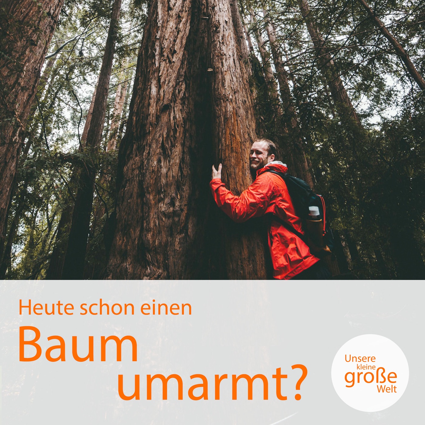 Heute schon einen Baum umarmt?