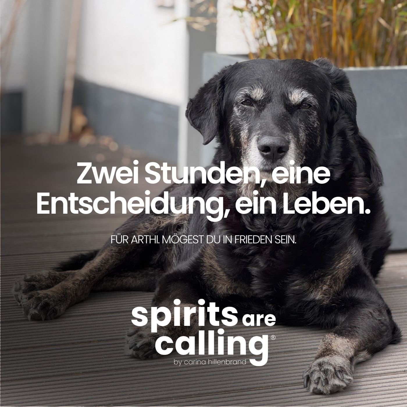 Zwei Stunden, eine Entscheidung, ein Leben