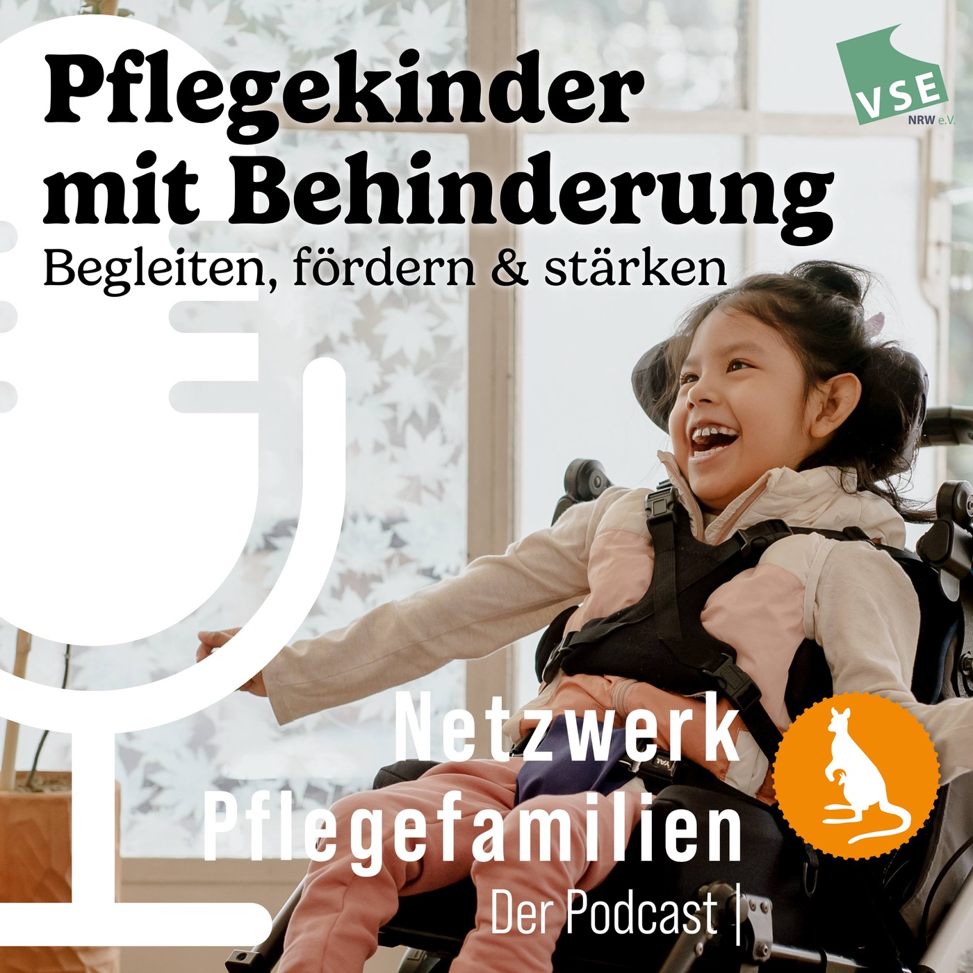 Pflegekinder mit Behinderung - Begleiten, fördern & stärken