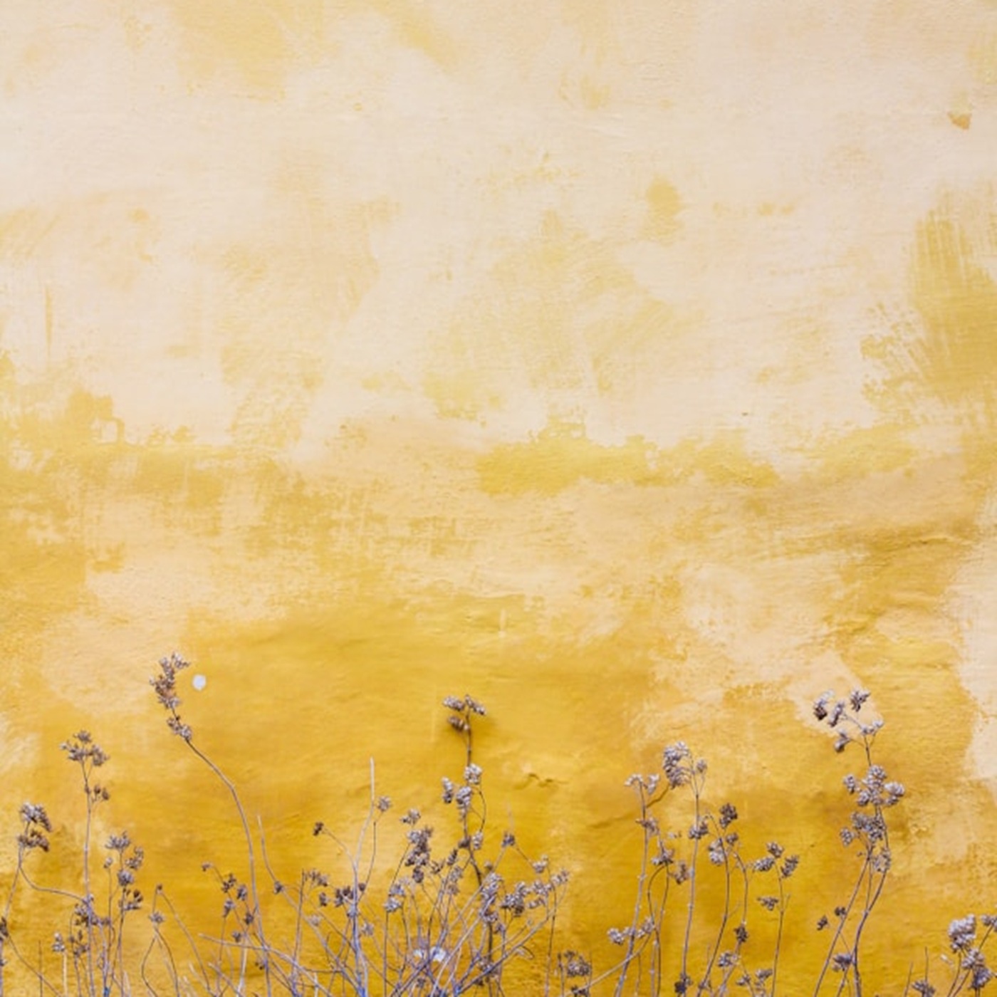 Jesu, meine Freude (EG 396)