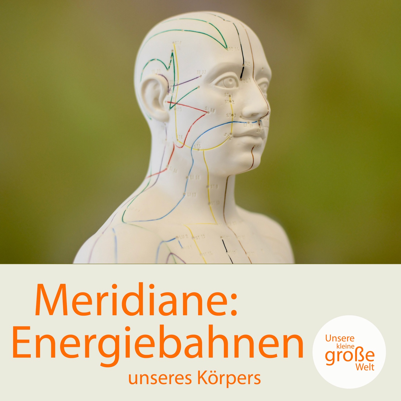 Meridiane: Energiebahnen unseres Körpers