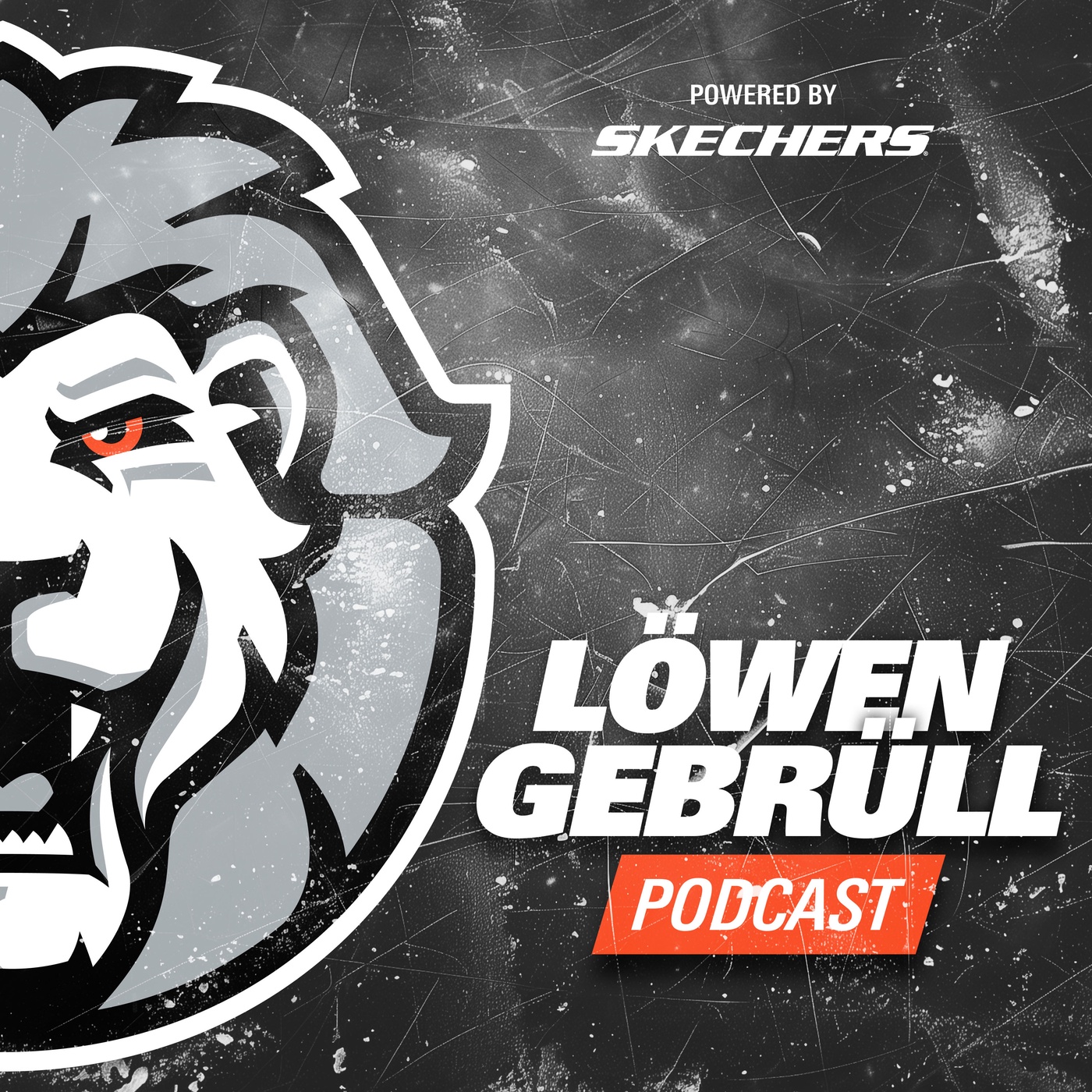 Sportliche Verantwortung: „Dann muss ich die Reißleine ziehen…“ (Jan Barta)