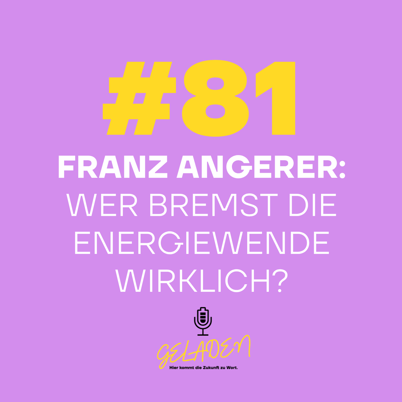 #81 Franz Angerer: Wer bremst die Energiewende wirklich?