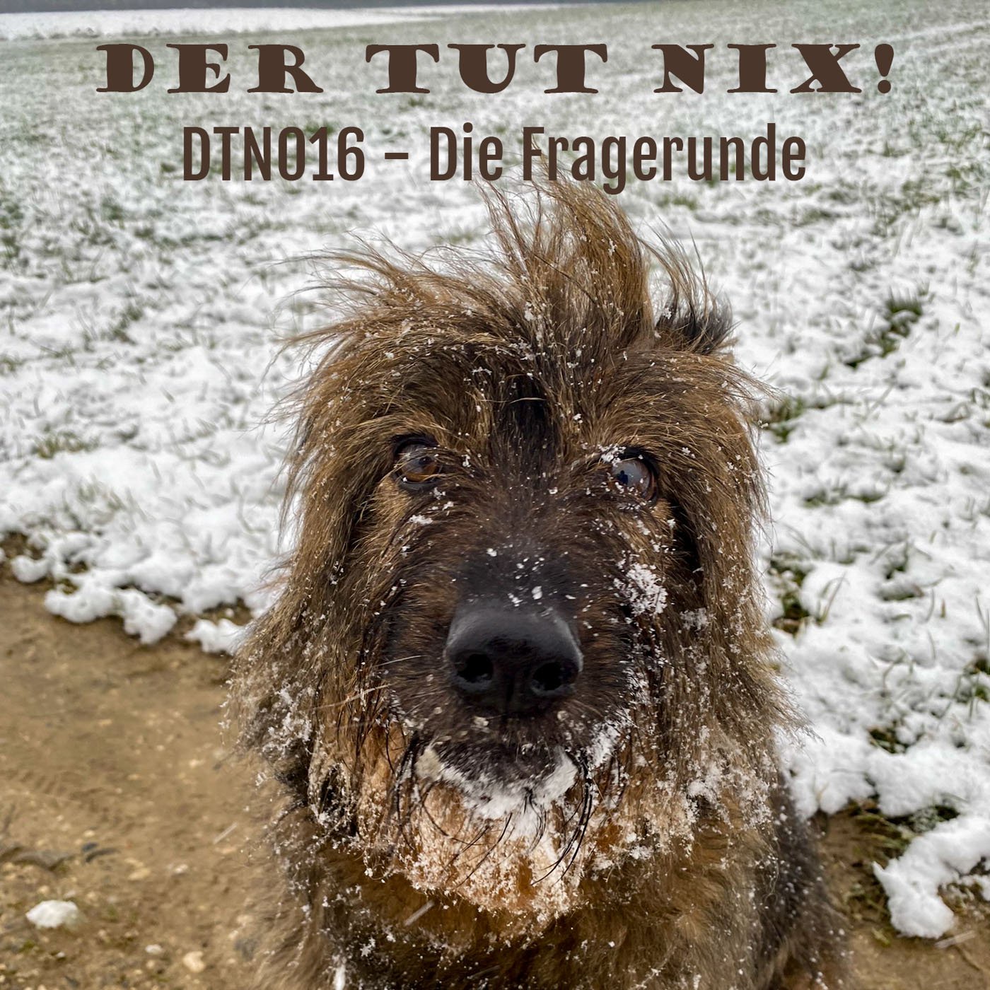 DTN016 - Die Fragerunde